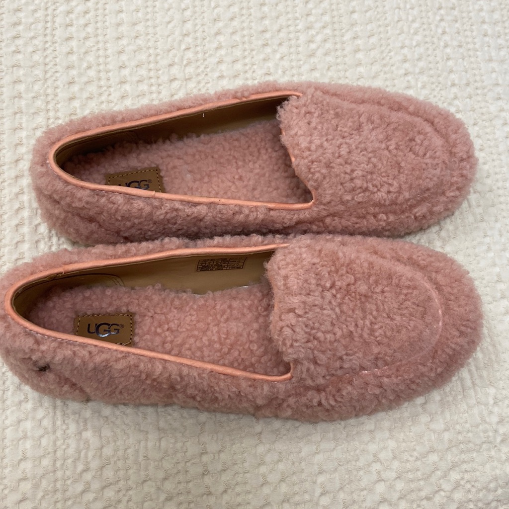 Nwt Ugg